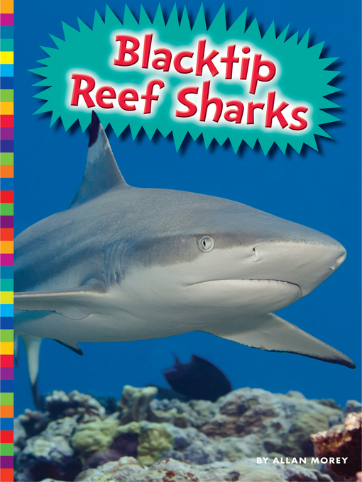 Title details for Blacktip Reef Sharks by Allan Morey - Available
